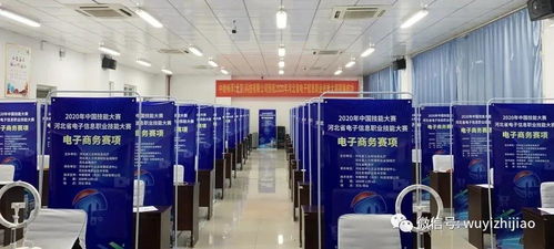 衡水市武邑職教中心教師在河北省電子信息服務(wù)業(yè)職業(yè)技能大賽中榮獲佳績(jī)，彰顯信息電子技術(shù)服務(wù)專(zhuān)業(yè)實(shí)力